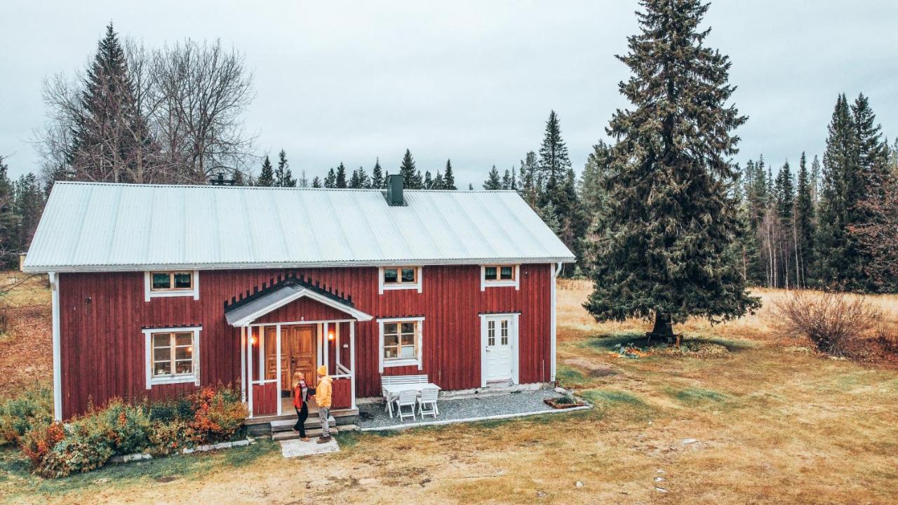 Taiga Forest Lodge Gällivare Exterior photo